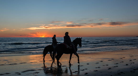 two persons ride on horses, sunset, clouds, beach, sea, sky HD wallpaper