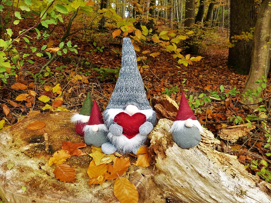 HD fall gnomes wallpapers  Peakpx
