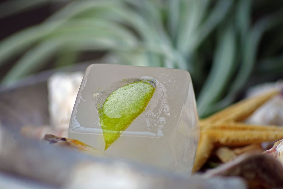 lime, ice, refreshment, summer, cold, ice cubes, citrus, liquid HD wallpaper