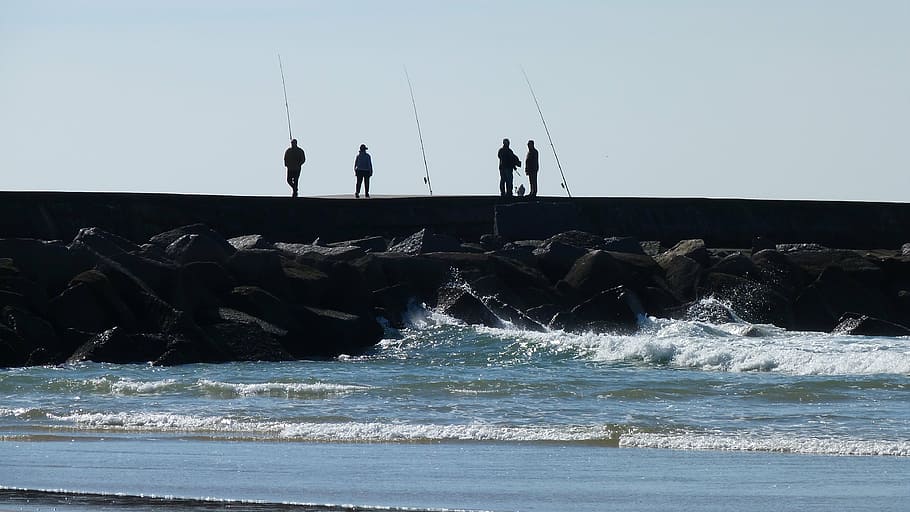sea, wave, rock, coast, fish, human, water, sky, men, clear sky HD wallpaper