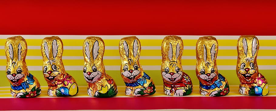 multicolored decorative rabbit figurines, chocolate bunnies HD wallpaper