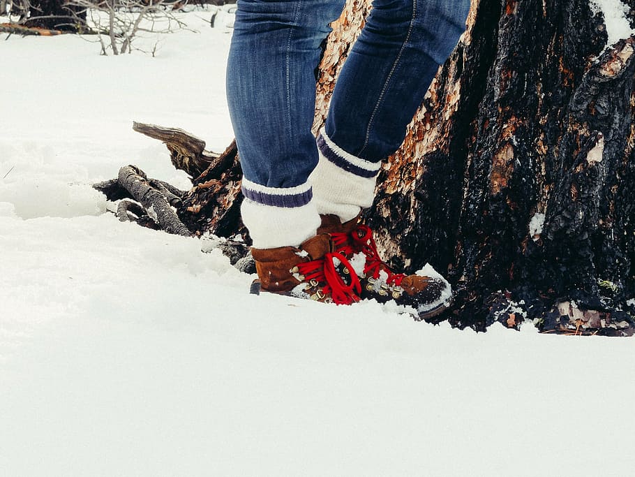 person wearing high-top sneakers standing beside trunk with snow, HD wallpaper