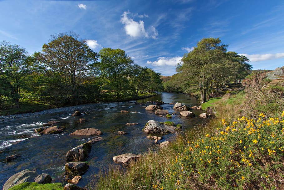 River Esk in the Lake District, Cumbria, England, nature, summer