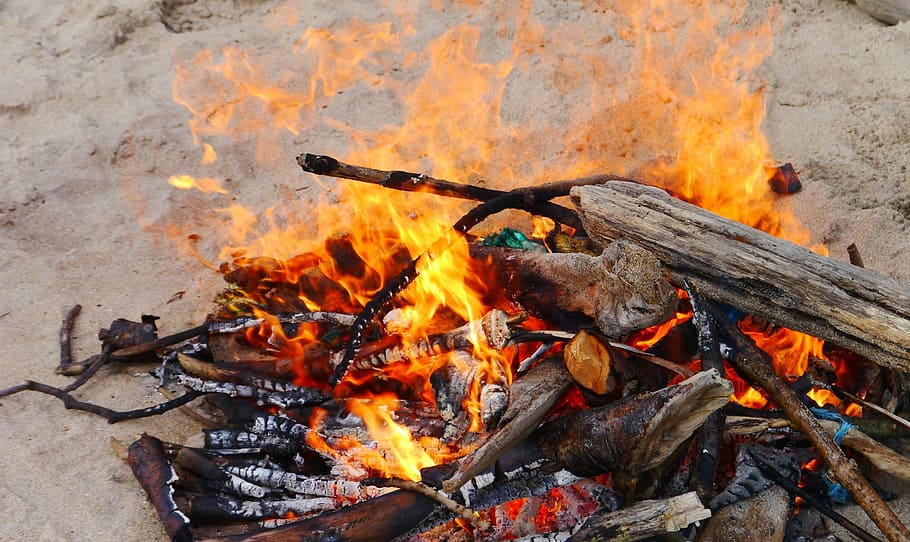 Fire, Wood, Beach, Fireplace, fire - natural phenomenon, flame HD wallpaper