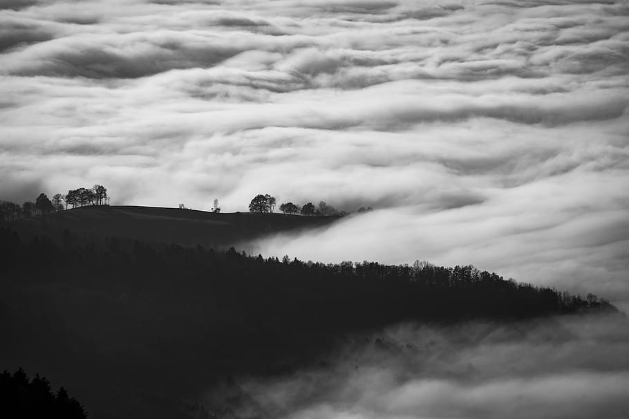 photo of mountain surrounded with sea of clouds, hill covered by plants and clouds HD wallpaper