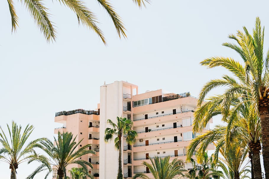 white concrete building beside green palm tree under white sky during daytime, pink high-rise building HD wallpaper