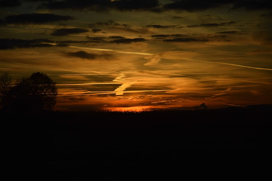 sunset, silhouette of trees during sunset, night sky, clouds HD wallpaper