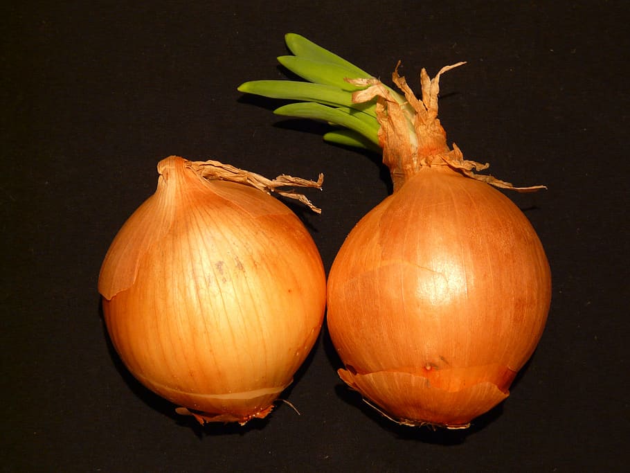 onion, vegetables, sharp, eat, food, sear, stew, cook, healthy HD wallpaper