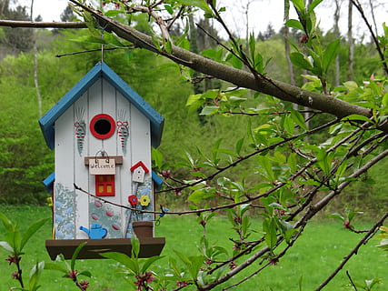 white and blue birdhouse hanging on branch of tree, aviary HD wallpaper