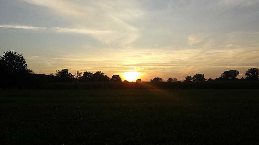 sunset, landscape, nature, outdoors, summer, tree, dusk, sky HD wallpaper