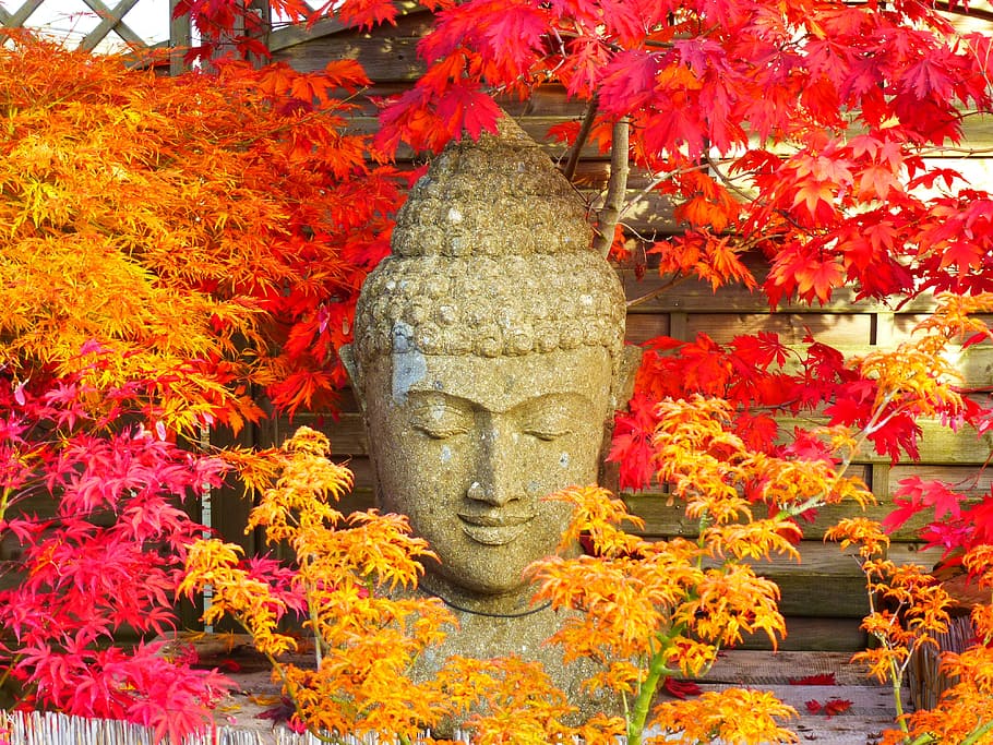gray Buddha head statue beside leaves, Figure, Meditation, Asia, HD wallpaper