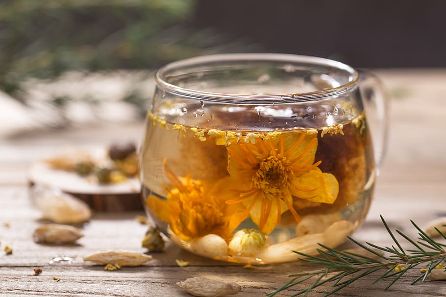 yellow petaled flowers placed in clear glass teacup filled with white liquid, HD wallpaper