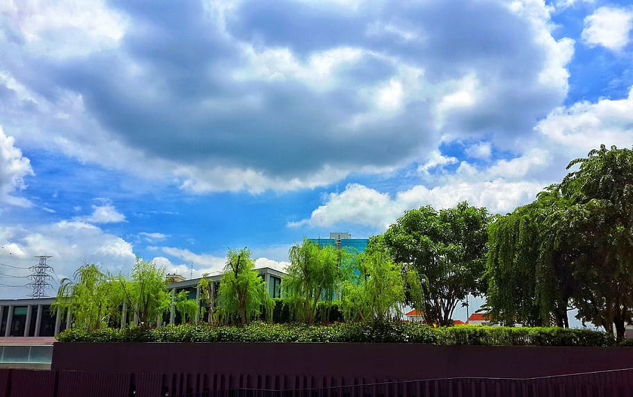 cloudscape, sky, outdoor, day, atmosphere, cloud - sky, tree HD wallpaper