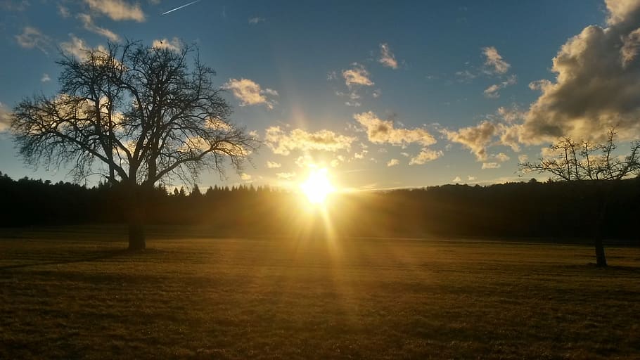 sunset, sunbeam, abendstimmung, setting sun, trees, meadow HD wallpaper