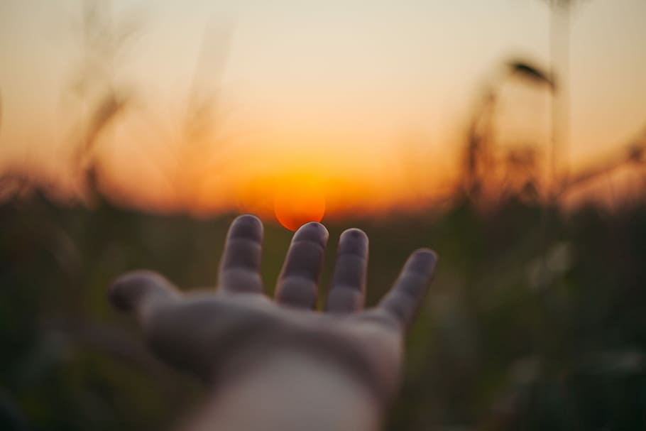 selective focus photo of person laying hand over the sunset, shallow focus photography of person's left hand HD wallpaper