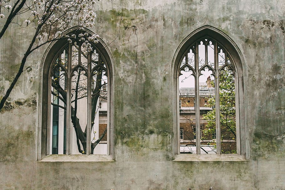 windows, old, trees, wall, architecture, infrastructure, built structure HD wallpaper
