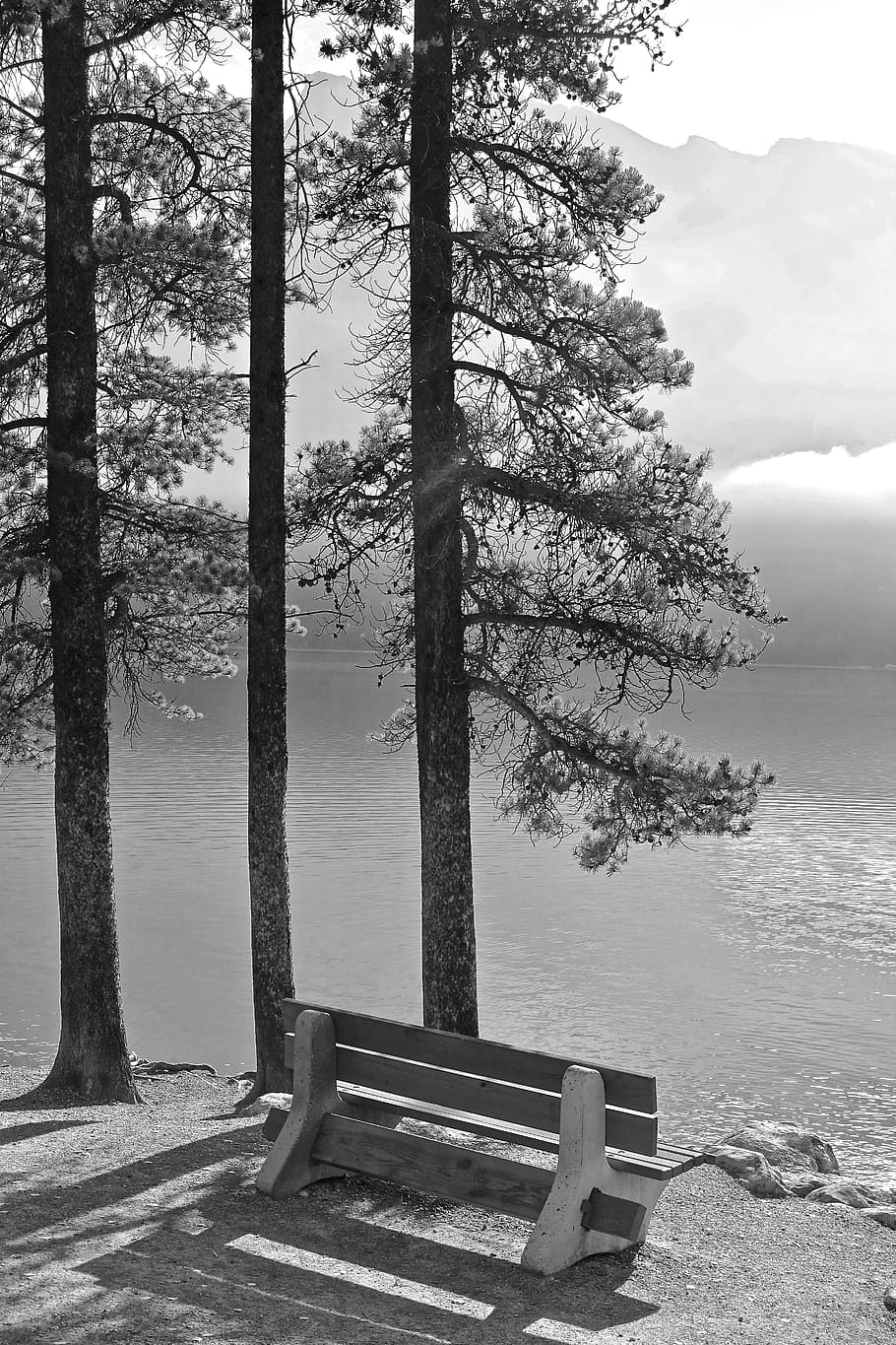 Bench, Seat, Trees, Seating, Wooden, relaxation, calm, sit HD wallpaper
