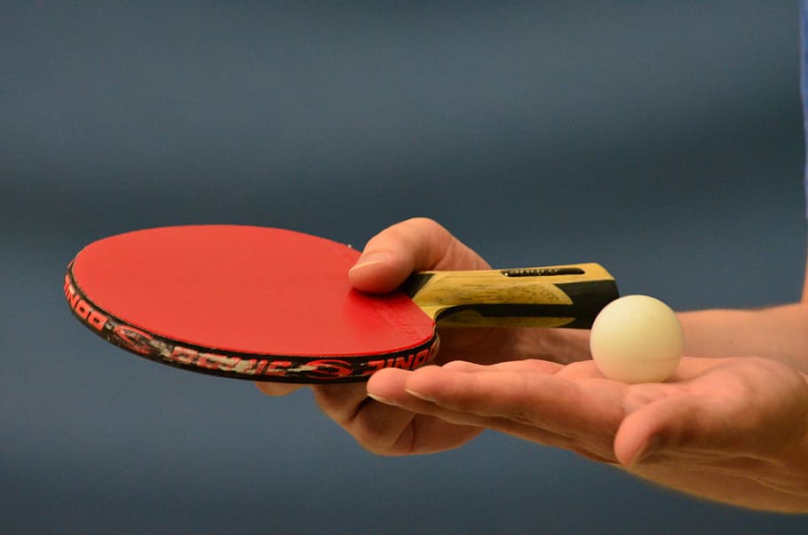 tilt-shift photography of ping pong paddle with ball, table tennis