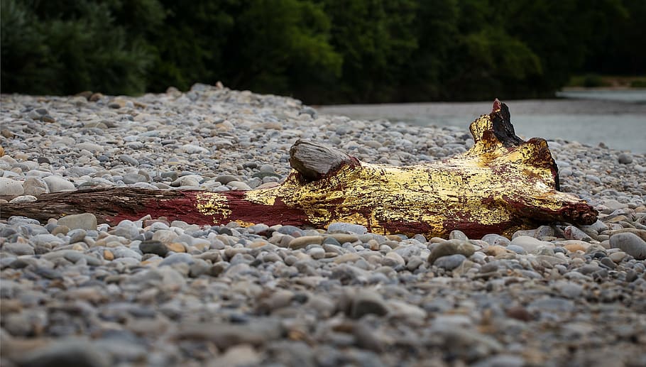 log, pebble, pebble beach, river, isar, gold, nature, solid HD wallpaper