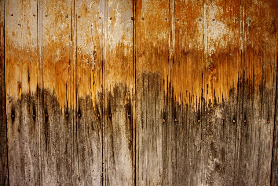 door, wood, texture, background, old wood, full frame, backgrounds HD wallpaper