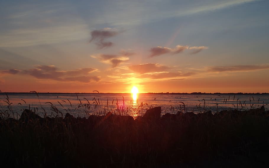 sunset, back light, abendstimmung, evening sun, watts, sky HD wallpaper