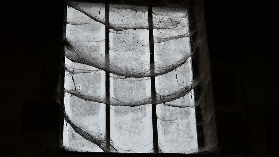 window, spider web, mystery, dark, mystic, indoors, no people HD wallpaper
