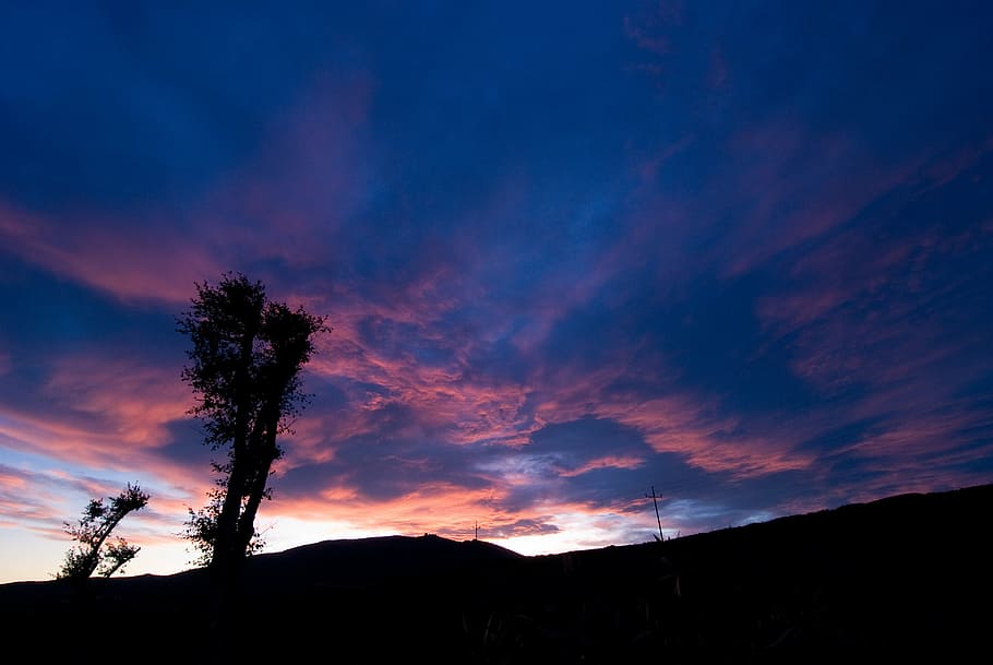 silhouette, tree, sky, clouds, sunset, blue, nature, weather HD wallpaper
