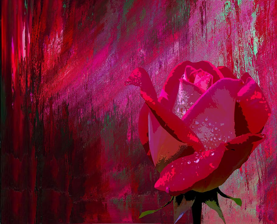 red rose painting, love, valentine's day, wedding, romantic, rose bloom, HD wallpaper