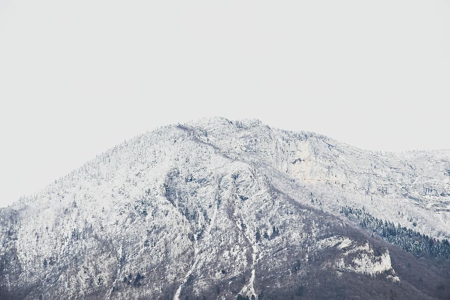 tundra mountain, mountain filled with snow, white, trees, outdoor HD wallpaper