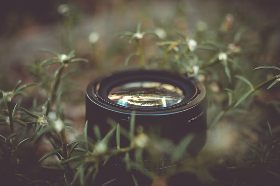 selective focus photo of camera lens, black, green, grass, photography HD wallpaper