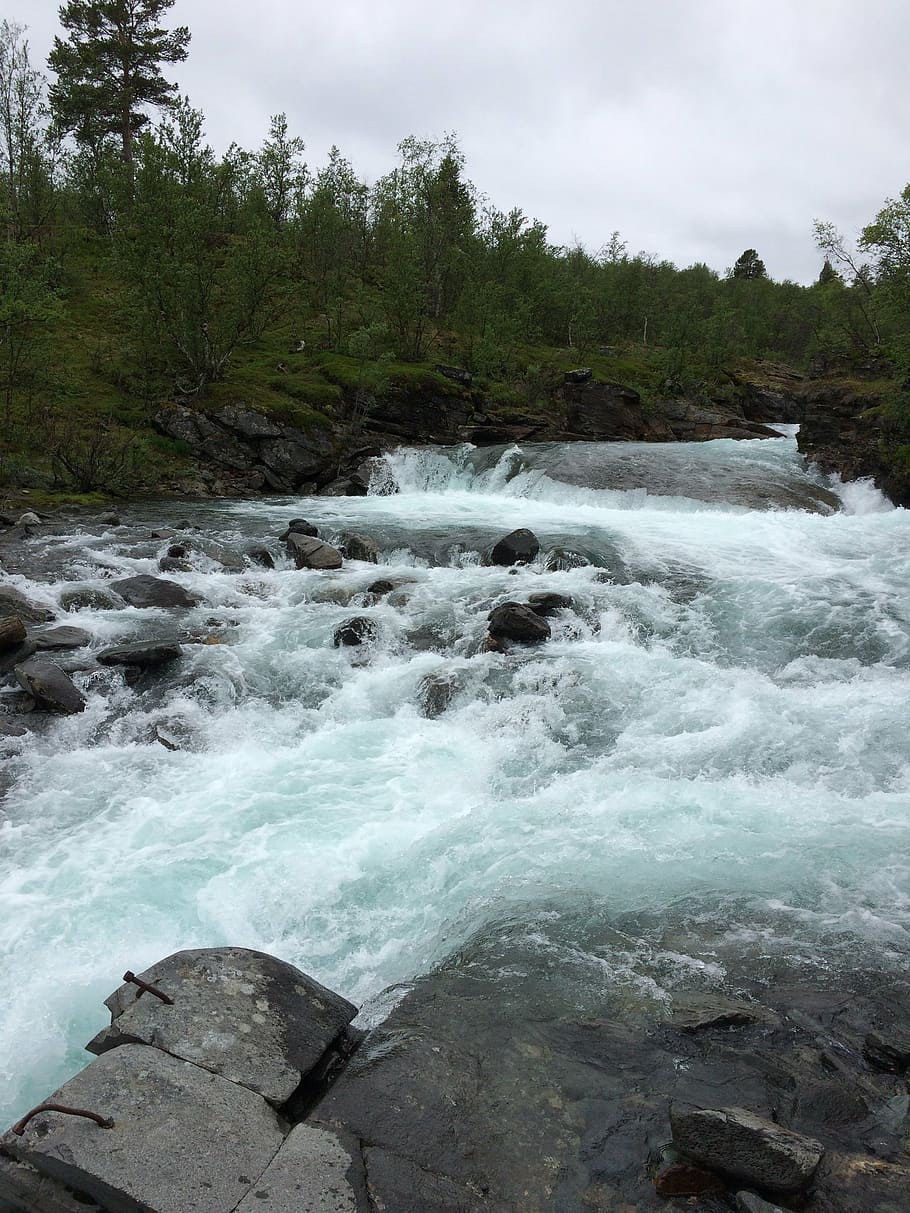 abisko, mountain rapids, water courses, river, beauty in nature, HD wallpaper