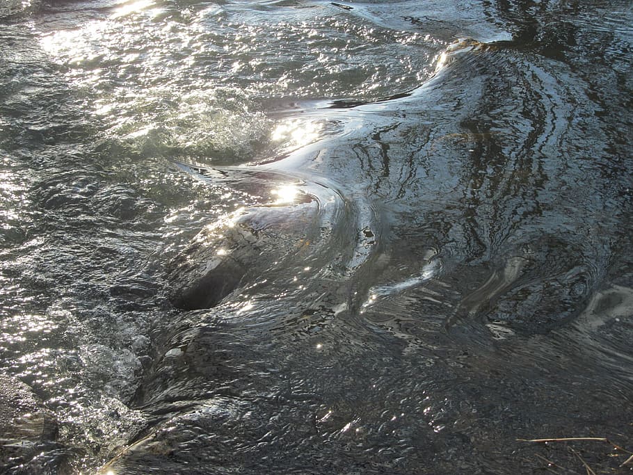 River, Flow, Wet, Water Feature, bubble, source, rapids, nature HD wallpaper