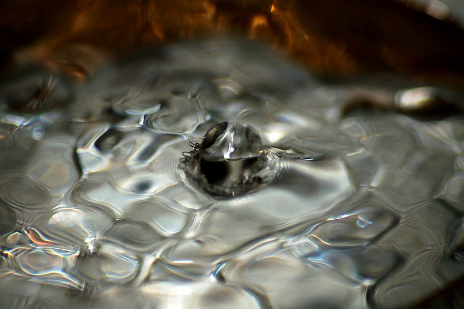 Water, Drop, Waterdrop, Macro, Liquid, bubble, clear, transparent HD wallpaper