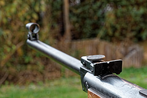 gray rifle in front of trees, weapon, shoot, objectives, shooting sports HD wallpaper