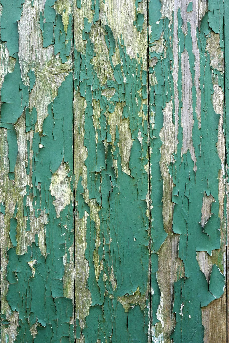 wood, door, old, paint, weathered, wooden door, decay, flake, HD wallpaper