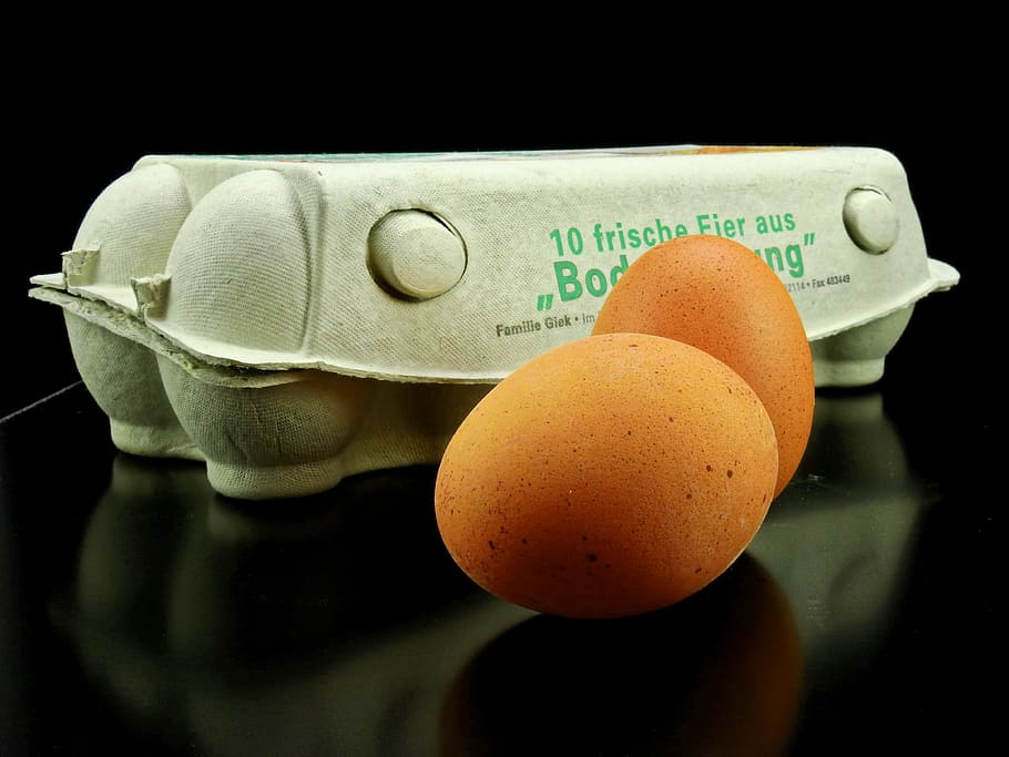 egg, chicken, hen, nature, eggshell, bird, poultry, hen's egg HD wallpaper