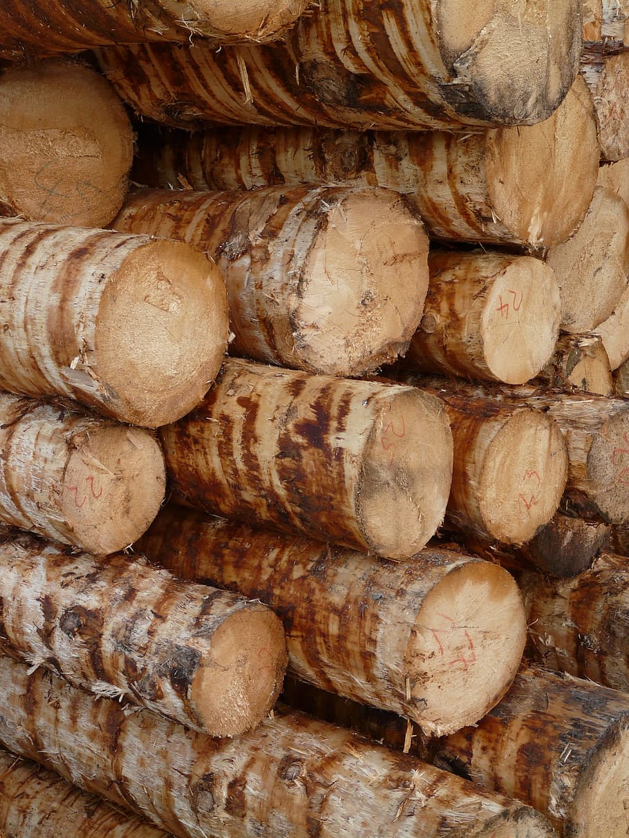 Wood, Tree Trunks, Timber, holzstapel, woodworks, peeled, lumber HD wallpaper