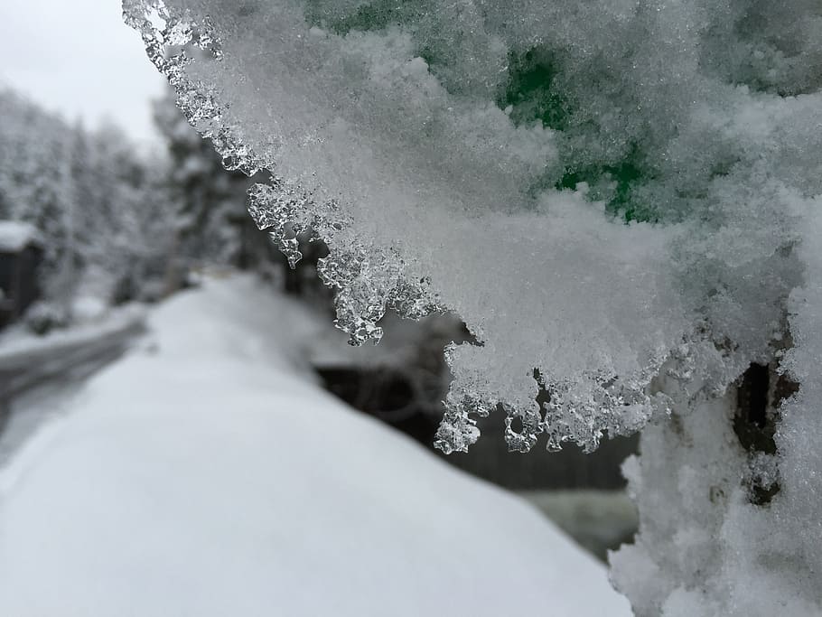 ice, views, winter, macro, snow, nature, cold - Temperature HD wallpaper