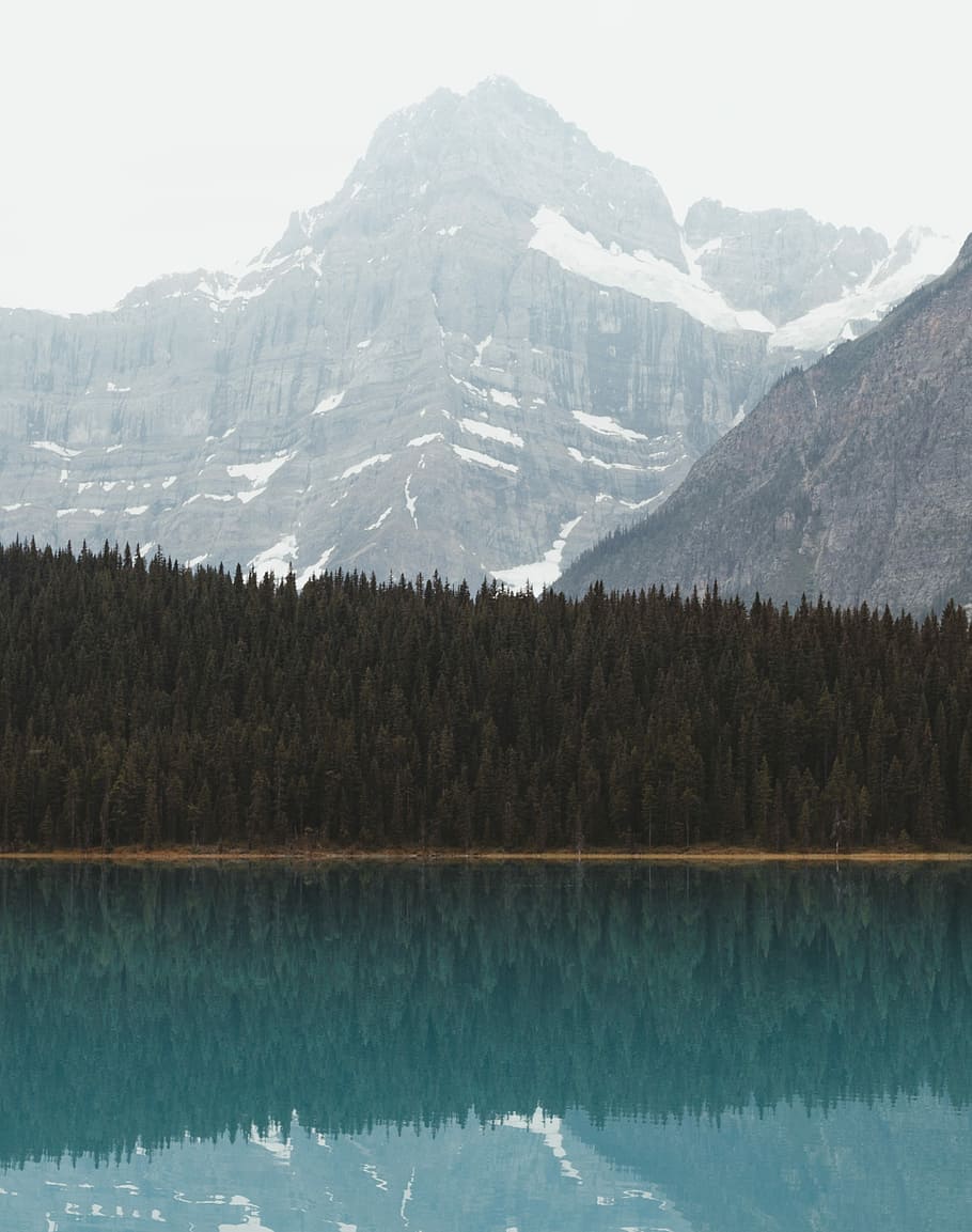 Morning Views in Alberta, green trees and rocky mountain during daytime, HD wallpaper