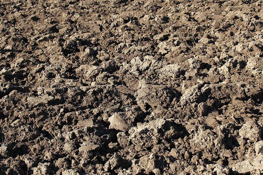 arable, ground, agriculture, field, fruitful, landscape, earth HD wallpaper
