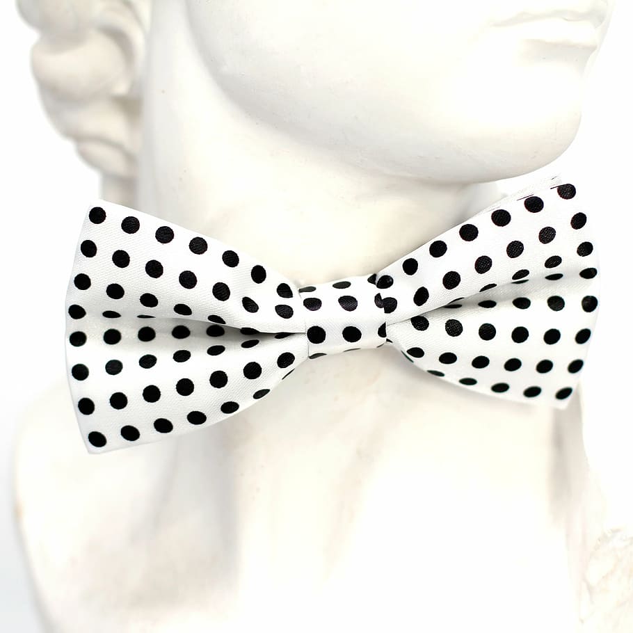 black and white polka-dot bow, points, fly, tie, loop, fashion HD wallpaper