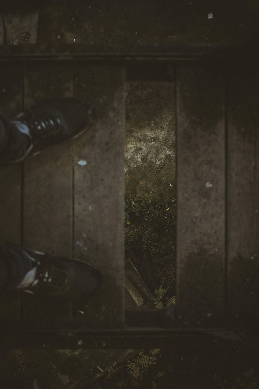 person standing of brown wooden bridge with missing plank, pair of black sneakers HD wallpaper