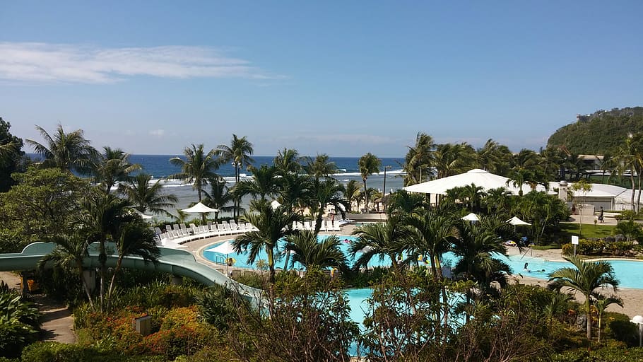 Nikko Hotels and Resort in Guam, palm trees, public domain, sky, HD wallpaper