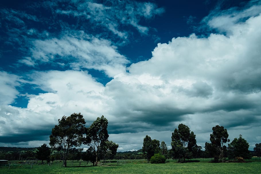 sky, clouds, trees, green, grass, nature, outdoor, farm, cloud - sky HD wallpaper
