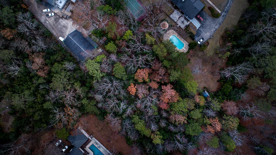 aerial photography of buildings surrounded by trees at daytime, aerial view of swimming pool surrounding trees HD wallpaper