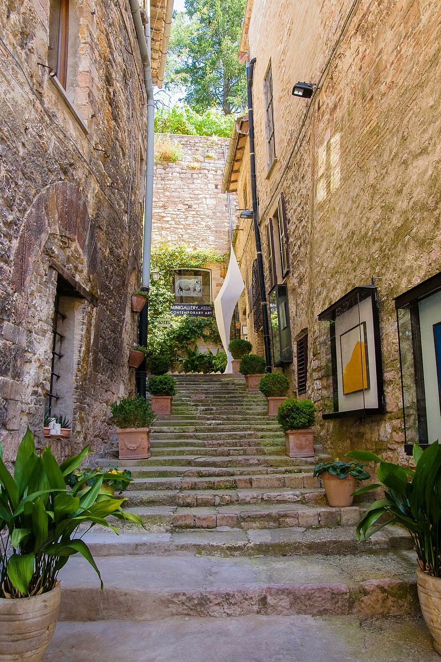 assisi, asiz, square, monastery, stairs, street, europe, architecture HD wallpaper