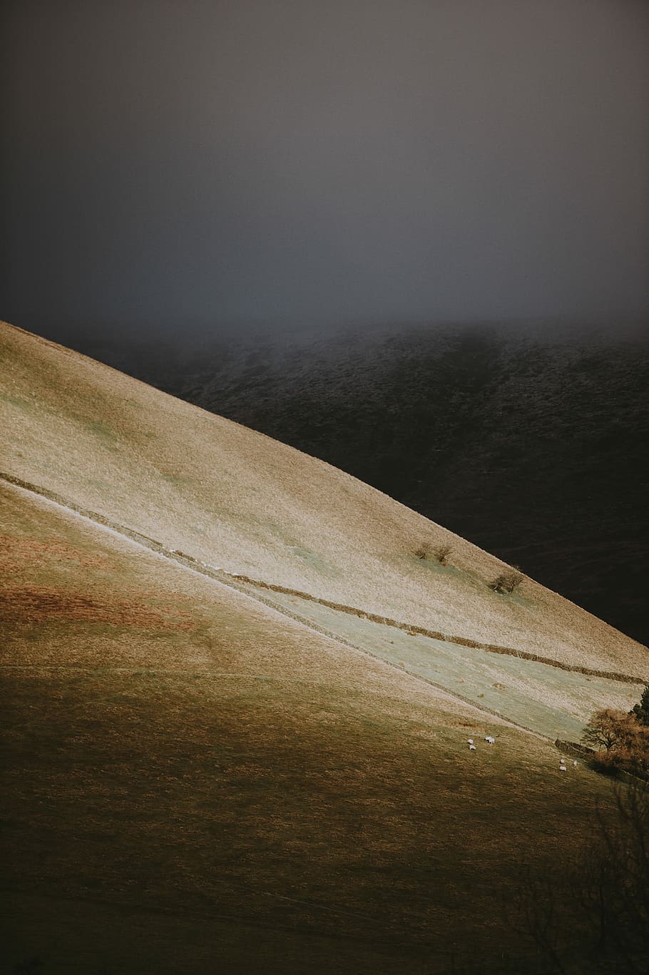 Light on the hillside, brown mountain during gray cloudy sky HD wallpaper