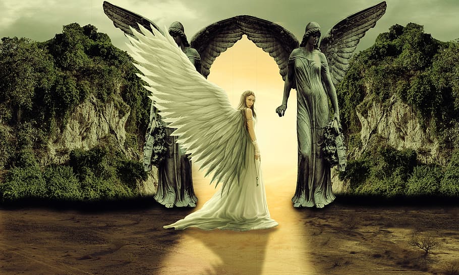 female angel near mountain hills, gate, to, haven, tree, plant, HD wallpaper