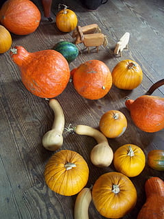 Rustic, Gourd, Squash, Fall, Holiday, wood, autumn, vintage HD wallpaper