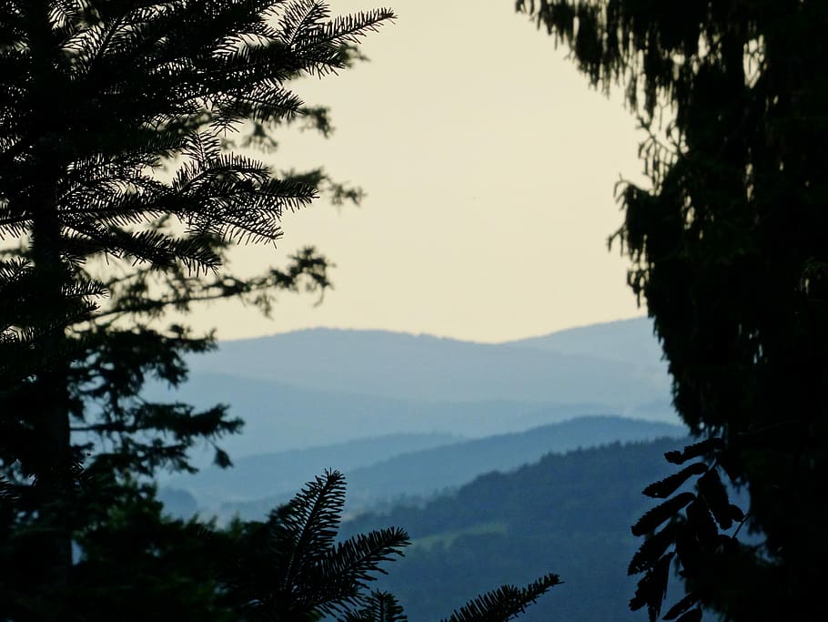 shallow focus photography of mountains, silhouette photo of trees at daytime HD wallpaper